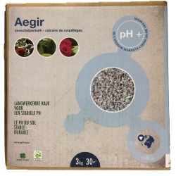 "Ostrea/Aegir" zeeschelpenkalk